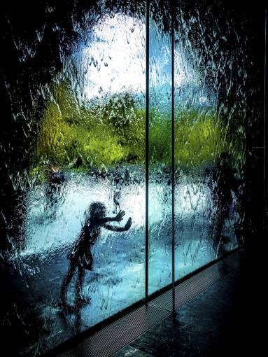 drips people  girl  child  kid  water  dripping  glass