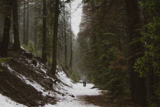 people  man  alone  walking  snow  fog  sky