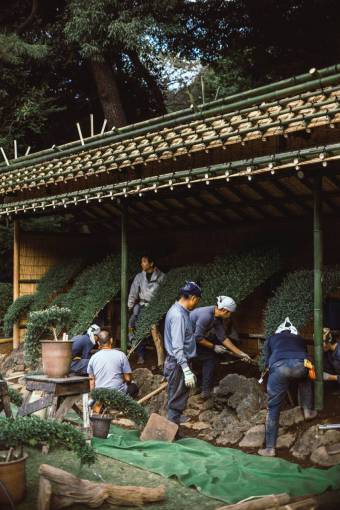 hut people  men  working  landscape  plant  pot  woods