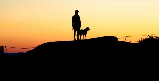 persona perro silueta niño puesta de sol cielo cálido