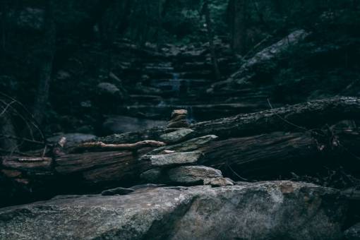 trekking rocas naturaleza sendero para caminar rocas apiladas árboles bosque bosques