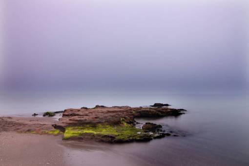 moss sea  ocean  blue  water  nature  beach  coast