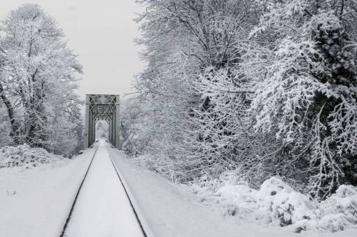 congelado nieve vías del tren transporte al aire libre árboles frescos