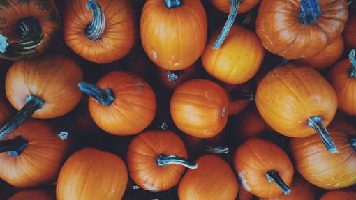pump squash  vegetable  pumpkin  halloween
