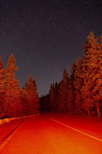 constelacion estrellas noche árboles cielo naturaleza aire libre carretera