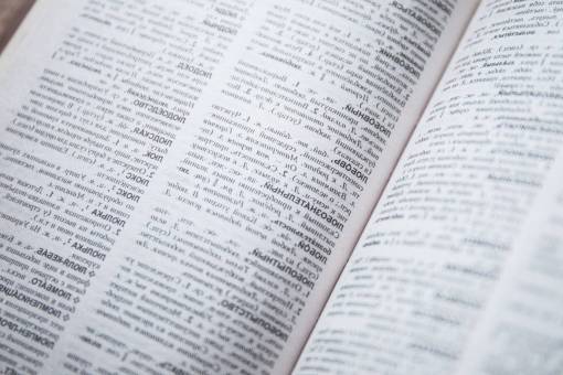 idioma todavía elementos cosas libro diccionario léxico extranjero
