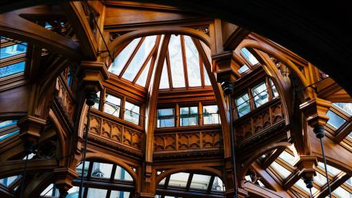 dome-architecture structure  dome  wood  brown  architecture  glass  steel
