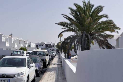 palmera casas tropicales vecindario tranvías palmera soleado