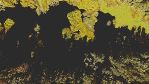 arriba Drone aéreo de pantano de humedales sobre patrón natural