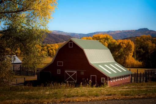 barn architecture  structure  establishment  cabin  barn  woods  forest