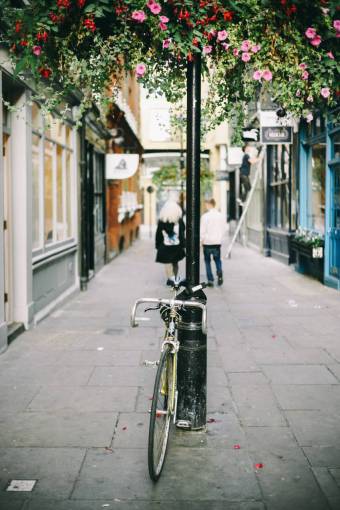 bicycle bike  bicycle  pole  flowers  plants  petals  building