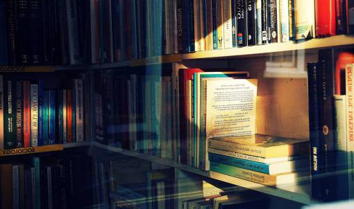 bible books  bookshop  bookshelf  reading  sunlight  library  bookshelves
