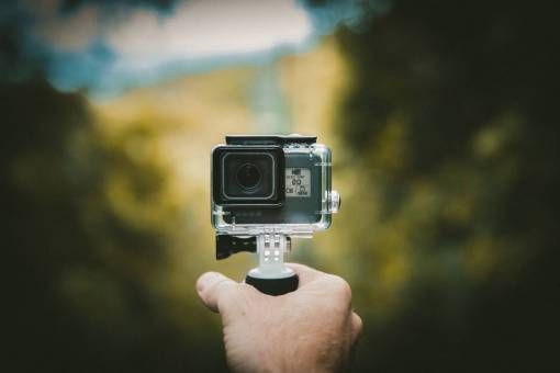 fotografia de aves cámara gopro fotografía aventura viajes mano desenfoque