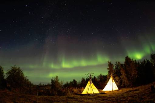 norte camping noche estrellas bosques bosque árboles norte