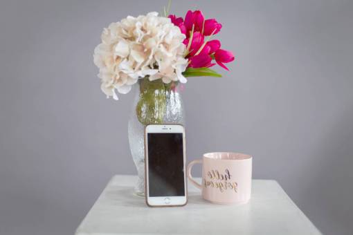 flower  vase  plant  glass  fresh  room  interior