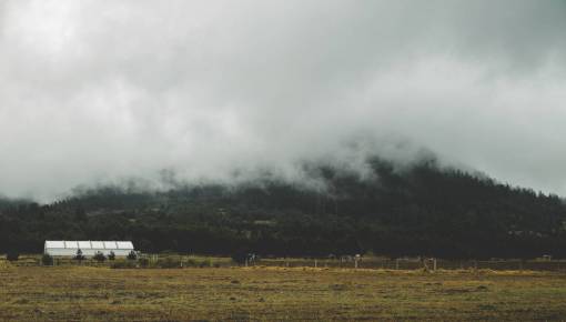 fog  mountain  hills  landscape  forest  trees  clouds