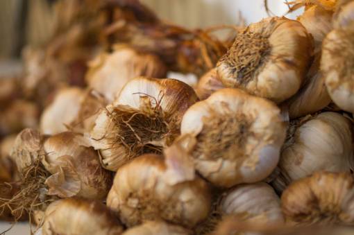 garlic garlic  cloves  good  market  ingredients
