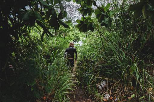 senderismo hierba verde árbol planta naturaleza personas al aire libre