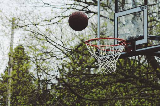 basketball-player green  trees  plant  nature  outdoor  basketball  ring