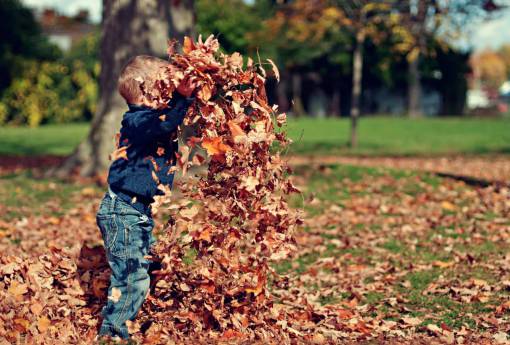 leaves  fall  autumn  boy  child  kid  playing