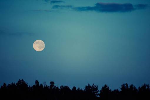 moon  sky  night  dark  silhouette  tree line  nature