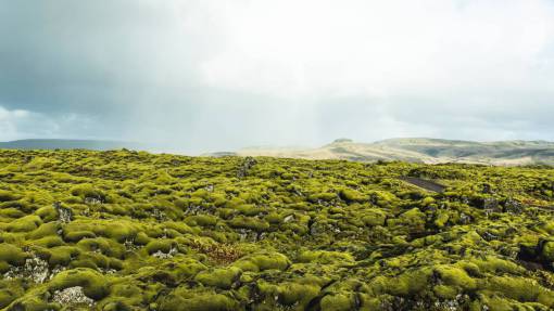 moss mountain  green  moss  rocks  highland  nature  sky