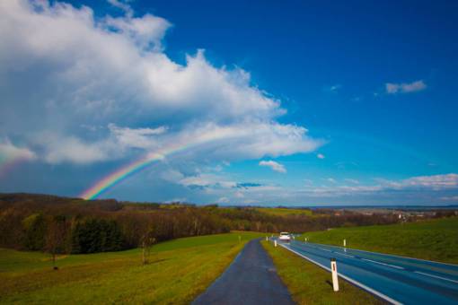 nature  paths  roads  streets  grass  trees  rainbow