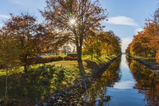nature  river  trees  plants  autumn  fall  clouds