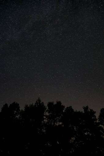 galaxia noche árboles oscuros sombra galaxia espacio estrellas