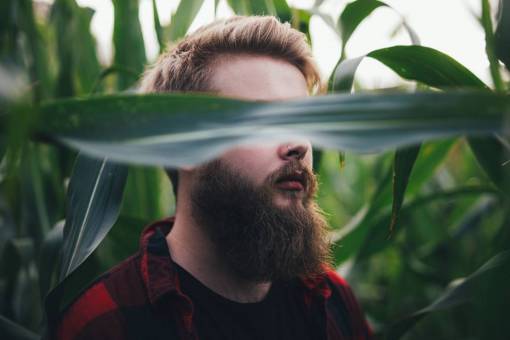 pessoas homem plantas verdes campo fazenda barbas