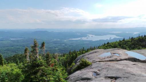 crest ridge  mountain  highland  nature  landscape  view  trees