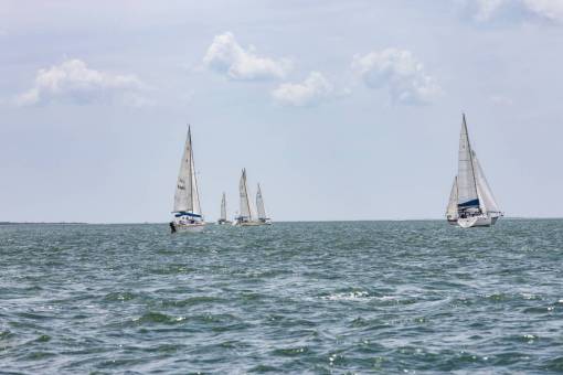 boating-activity sail boats  boating  ocean  travel  saltlife  sailing  sail