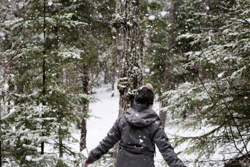 nevado nieve nevando frío invierno al aire libre bosque bosques
