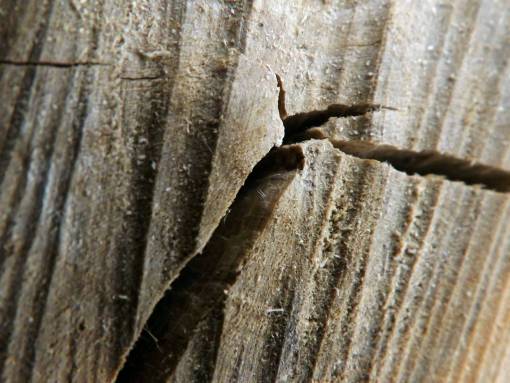 tablero árbol madera anillos textura estructura tableros naturaleza