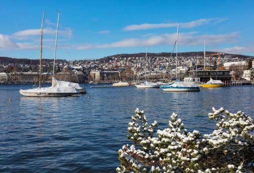 southeast Zurich  Switzerland  view  city  Zurich  Lake Zurich  lakeside