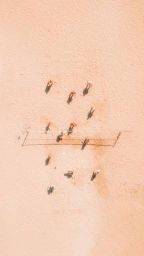 volador al aire libre naturaleza voleibol de playa;drone pov insecto arena animal volador