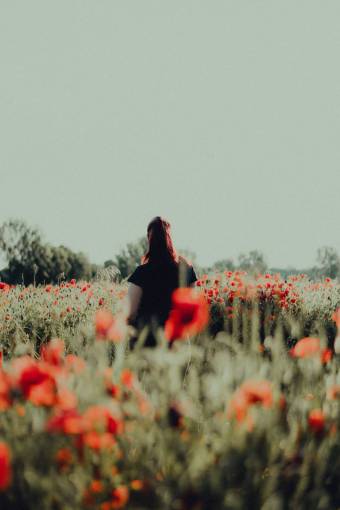 felicidad Mujer en un campo de amapolas