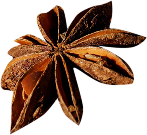 pine  png close-up food Pinecone spice macro overlay