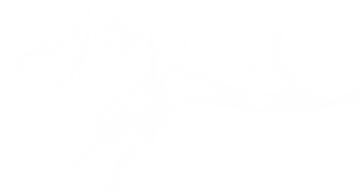  Water Splash Clipart Overlay PNG