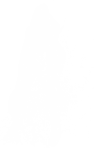  Water Splash Clipart Overlay PNG