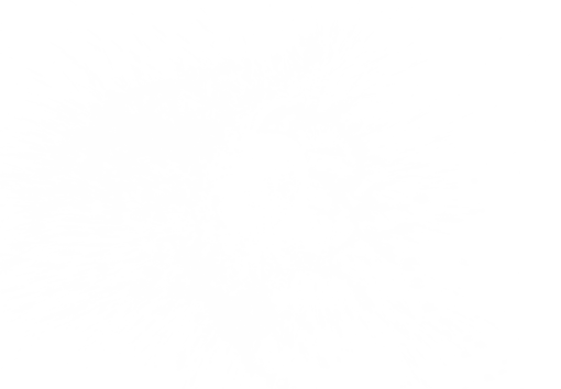 splash  Water Splash Clipart Overlay PNG