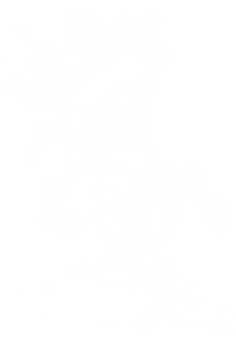 splash  Water Splash Clipart Overlay PNG