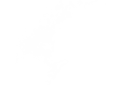 splash  Water Splash Clipart Overlay PNG