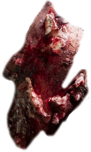 zombie  wound halloween close-up png blood overlay zombie