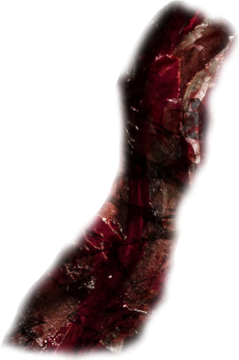 zombie  zombie backgrounds detail halloween overlay png close-up