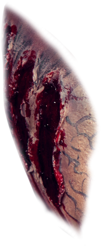drop  zombie backgrounds png overlay wound halloween detail