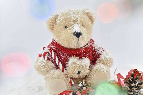 stuffed bear toy backlight teddy stuffed soft toyshop toys gift