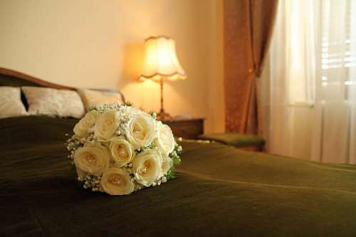 bouquet cushion lamp bedroom hotel decoration windows still rose flower 