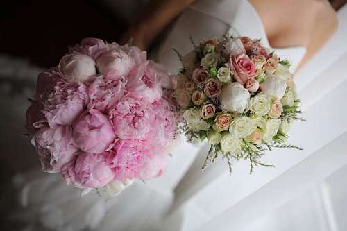 ramo compromiso novia flor romance matrimonio naturaleza rosa