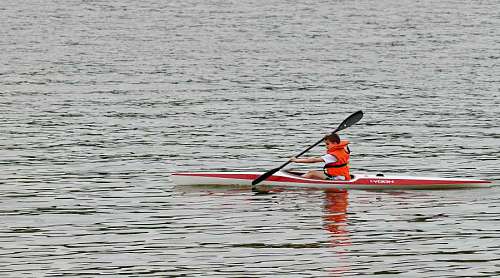 paddle-board canoe canoeing competition race kayak oar boy paddle watercraft water